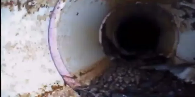 A camera view looking down a pipe toward a joint and a dark opening